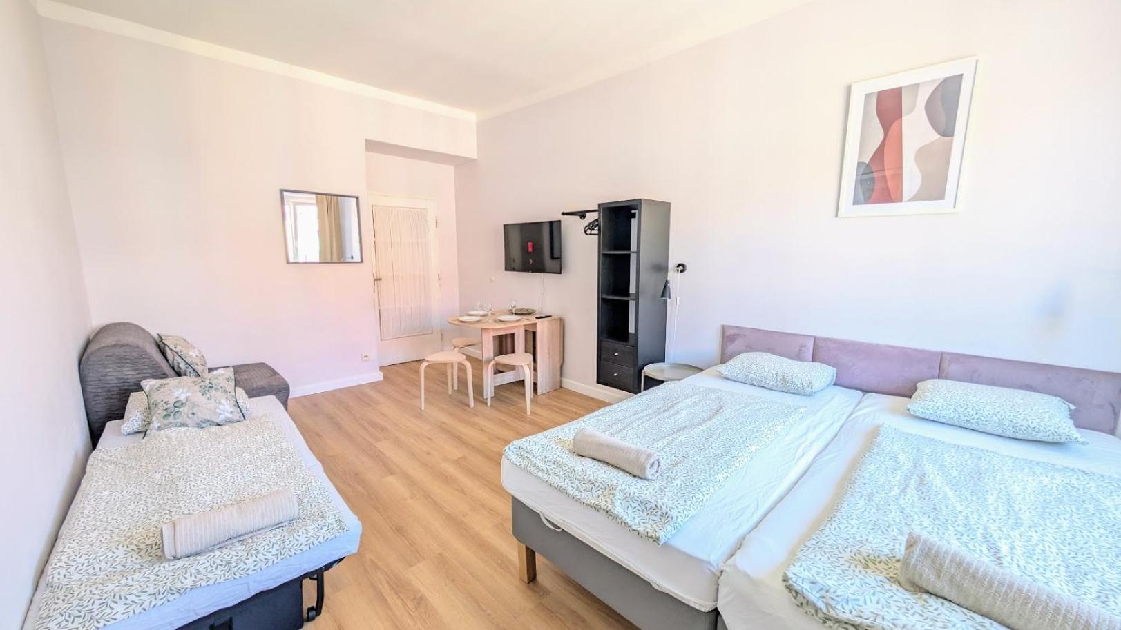 Flat In Zizkov -403- * Praga