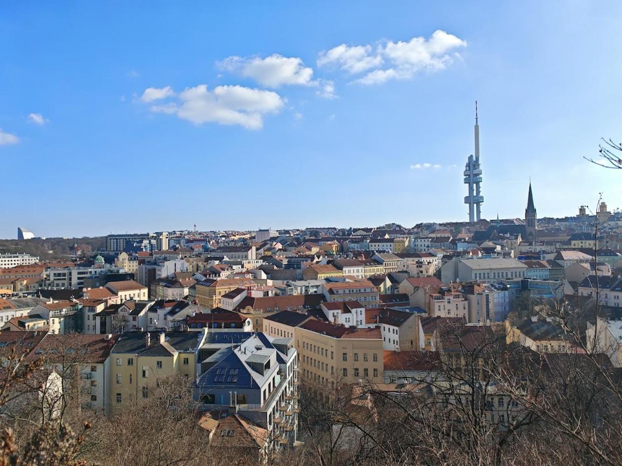 Apartment Flat In Zizkov -403- Prag